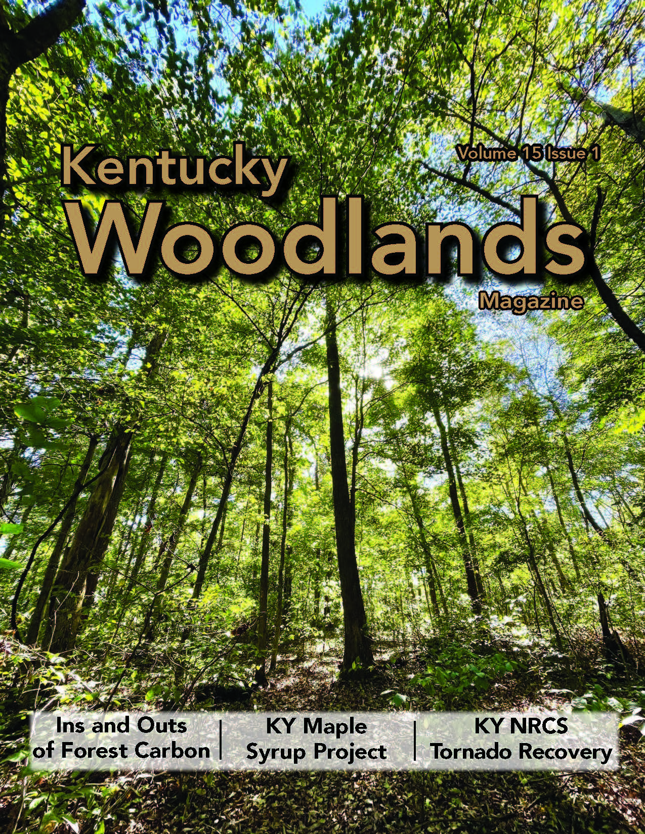 Kentucky Woodlands Magazine, Volume 15, Issue 1 Cover